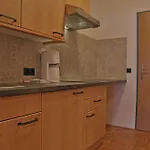 Paradies - Schrempfgut Aparthotel Flachau